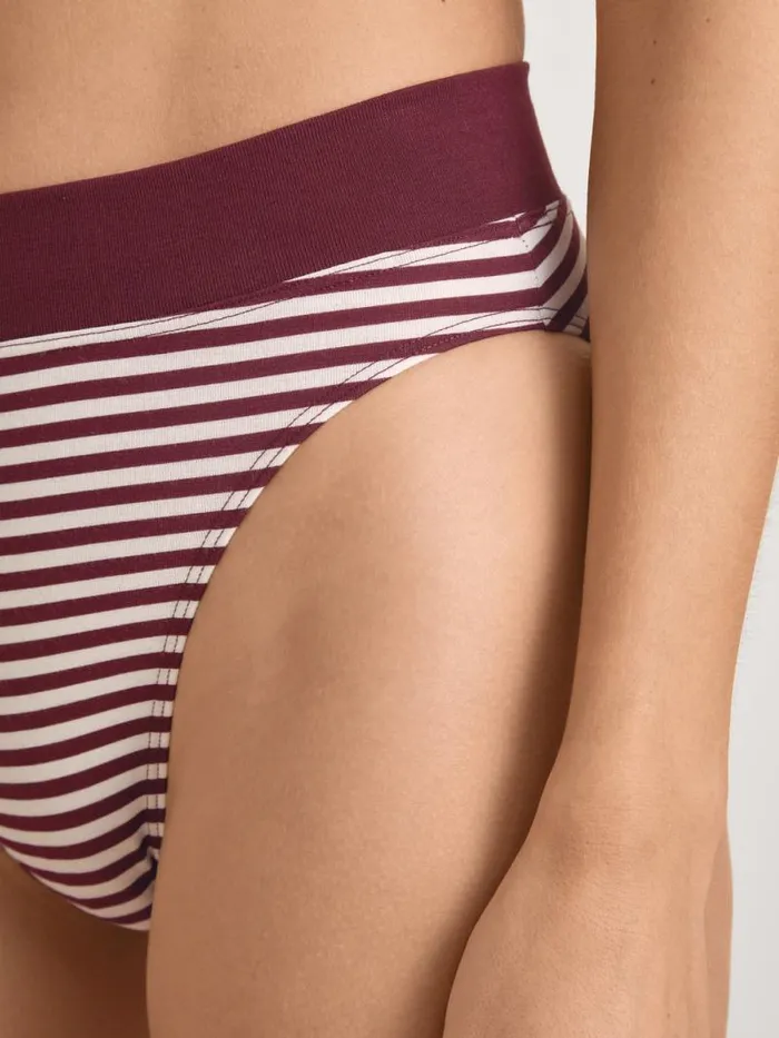 CALIDA Bottoms Brief High Waist English Red Print 8211 Women