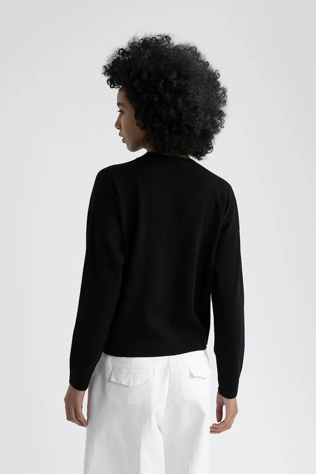 Peserico Knitwear Woman Wool Silk And Cashmere CrewNeck Sweater Black Peserico Knitwear Woman Wool Silk And Cashmere CrewNeck Sweater Black
