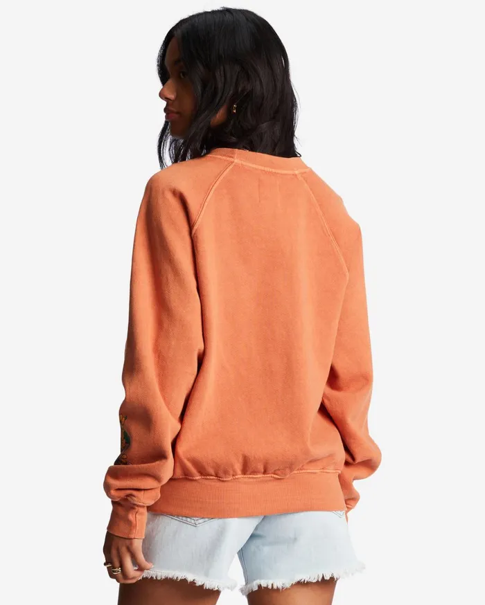 Billabong Here We Go Graphic Crewneck Sweatshirt Brick Women Hoodies and Fleece Billabong Here We Go Graphic Crewneck Sweatshirt Brick Women Hoodies and Fleece