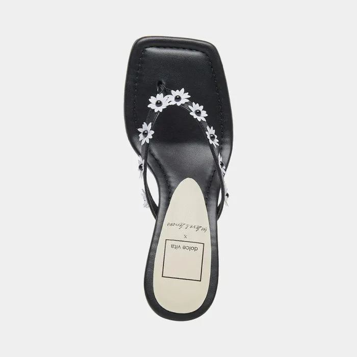 Heels Shop Dolce Vita Daphne Heels Black Stella Black Stella
