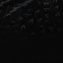 Plus Size Black Floral Embossed Velvet Bolero Flare Dress Dresses Unique Vintage Fit and Flare