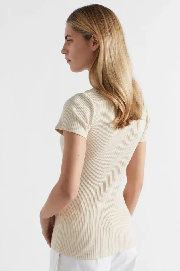 Seed Heritage TShirts and Tops Ribbed Neat Tee Magnolia 8211 Woman